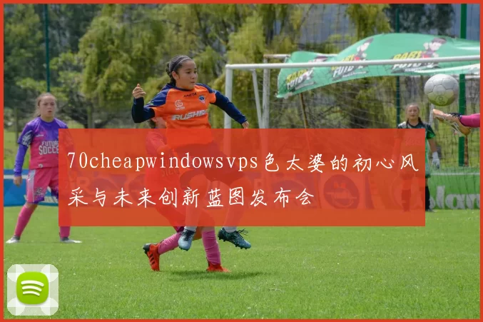 70cheapwindowsvps色太婆的初心风采与未来创新蓝图发布会