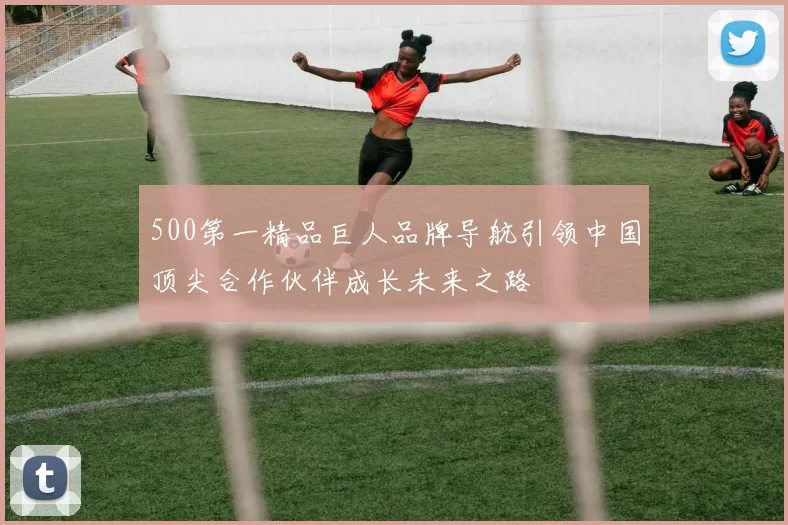 500第一精品巨人品牌导航引领中国顶尖合作伙伴成长未来之路
