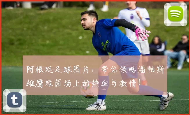 阿根廷足球图片，带你领略潘帕斯雄鹰绿茵场上的热血与激情！